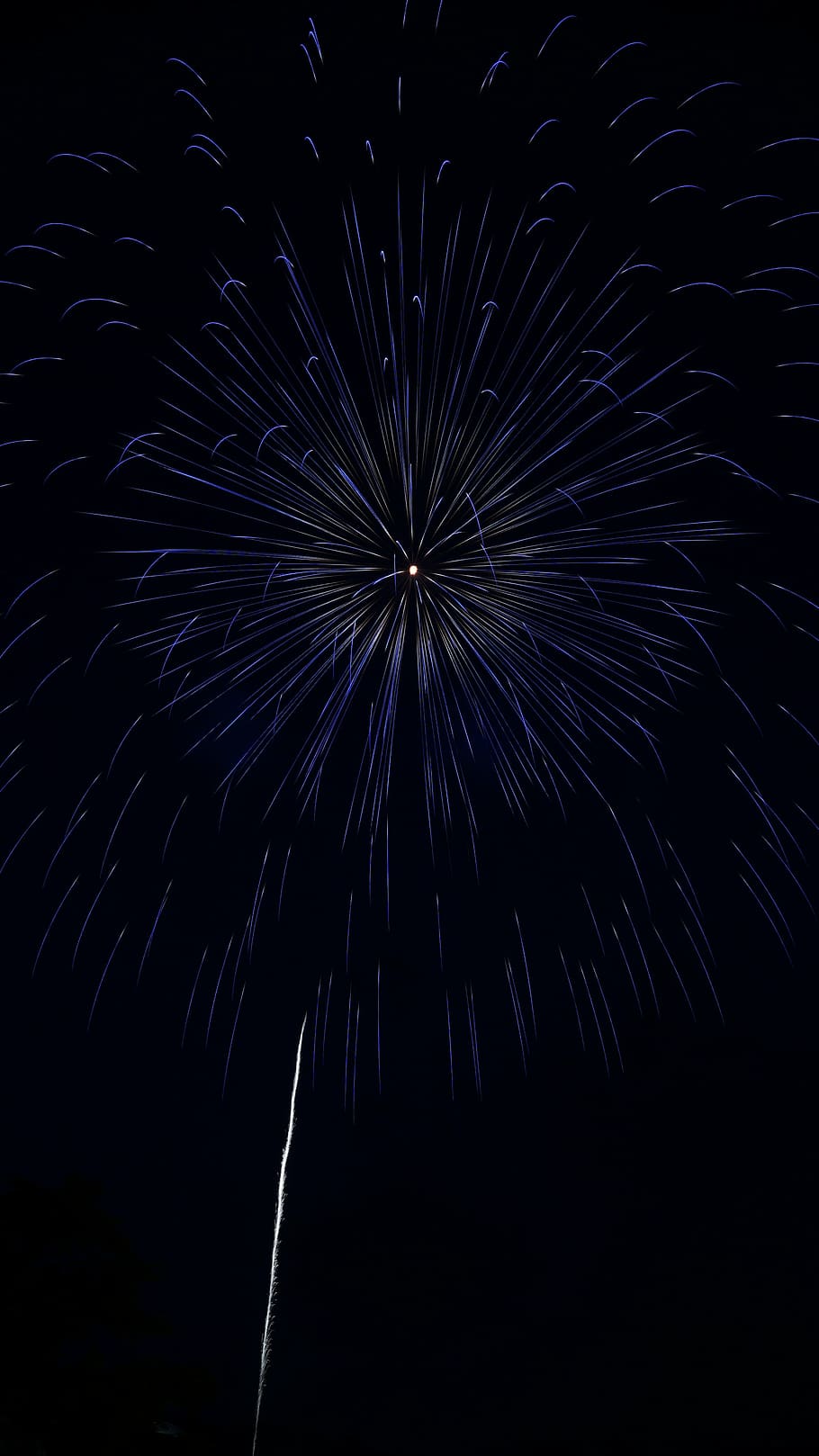 fireworks, summer in japan, night, night sky, light, arts culture and entertainment, motion, exploding, firework, illuminated
