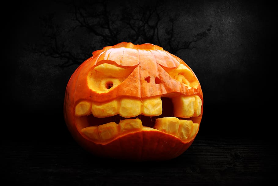 halloween, pumpkin, pumpkins autumn, gourd, autumn, orange, faces, celebrate halloween, halloweenkuerbis, anxious