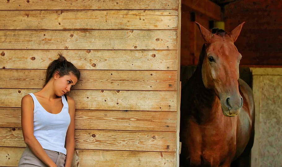 woman, hiding, wall, brown, horse, wood, one, of wood, people, nature