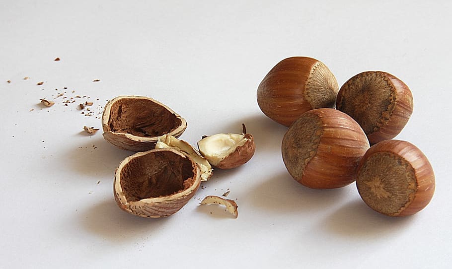 nuts, hazelnuts, shell, nuclear, food, eat, nutshells, food and drink, nut, nut - food