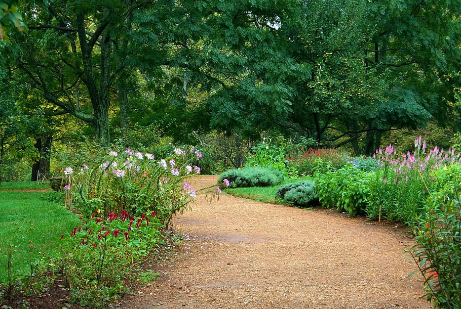 brown, pavement pathway, green, plants, pavement, pathway, green plants, garden path, pea gravel, sand