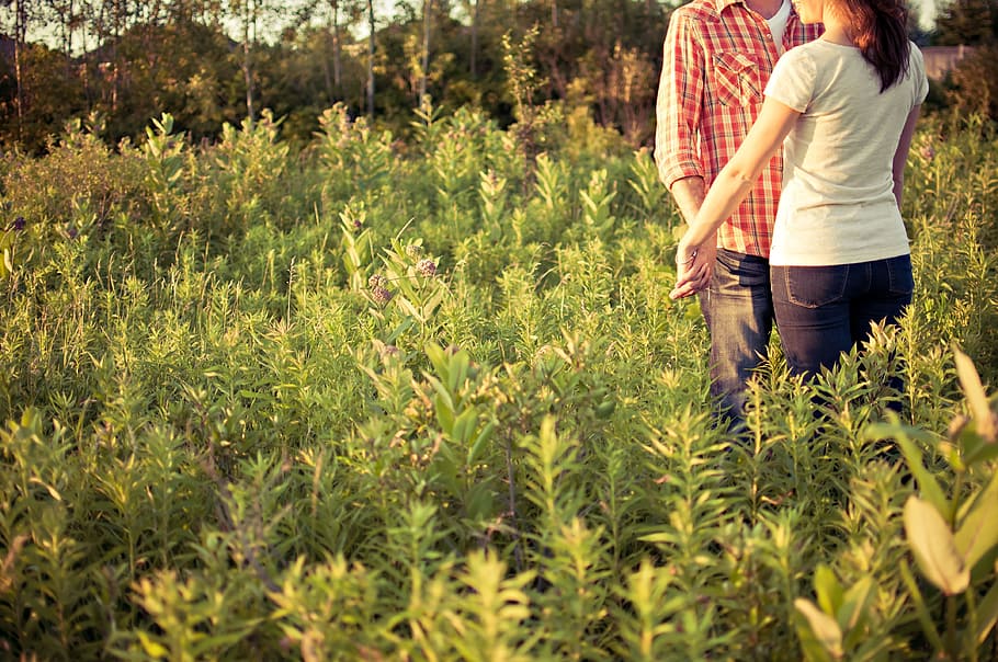 man, woman, green, grass field, countryside, couple, engaged, environment, field, grass