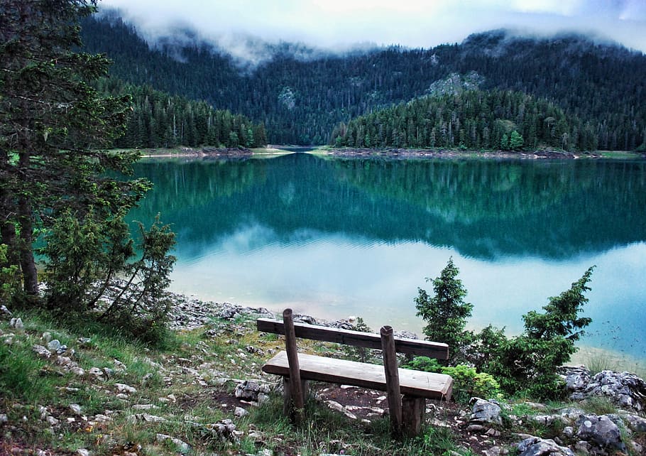 gray, wooden, bench, facing, lake, mountain, nature, forest, montenegro, water