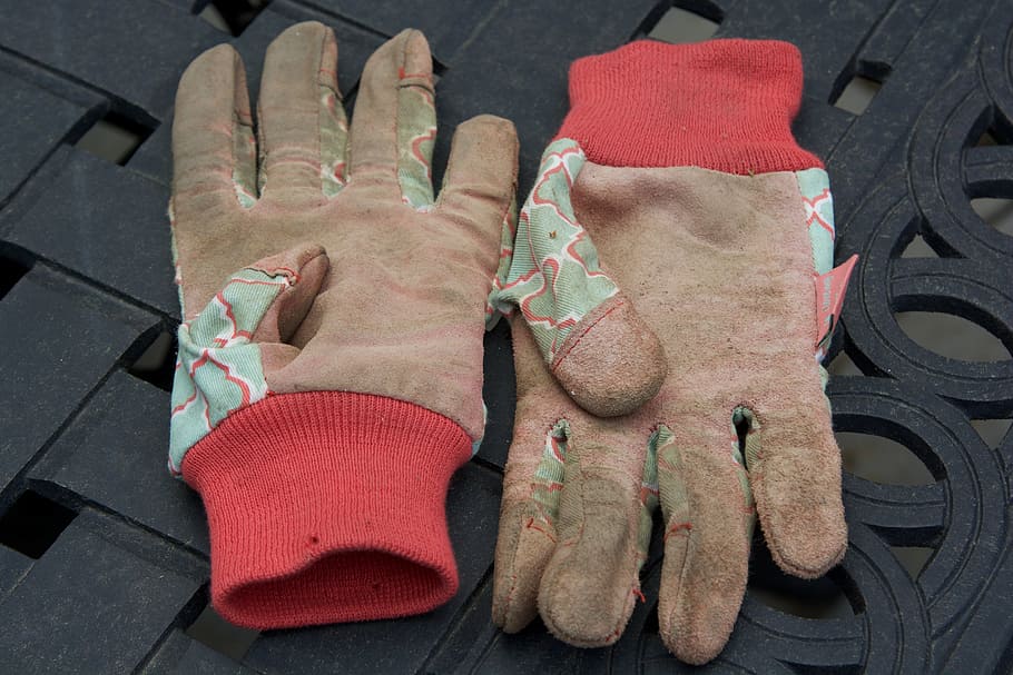 gloves, garden, dirty, gardening, agriculture, work, plant, gardener, nature, green