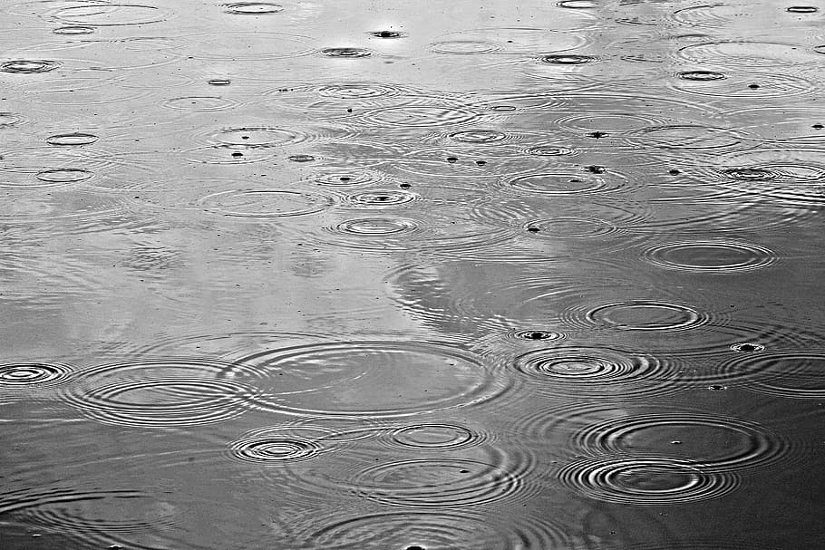 water, drops, body, rain, rain drops, rain on water, pond, water drop, drop, circles