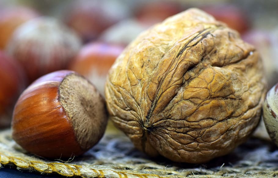 kacang almond dan kacang walnut, kemiri, kulit kacang, sehat, makan, makanan, tentang, coklat, kacang, musim gugur