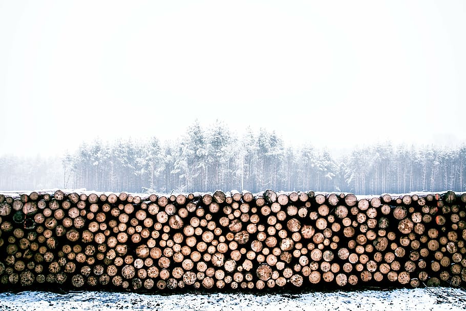 pile, firewood, snow, lumber, winter, wood, trunk, log, timber, woodpile
