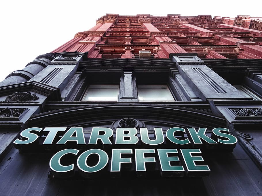 bajo, fotografía de ángulo, negro, cafetería Starbucks, Starbuck, café, alfarero, edificio, Nueva York, perspectiva