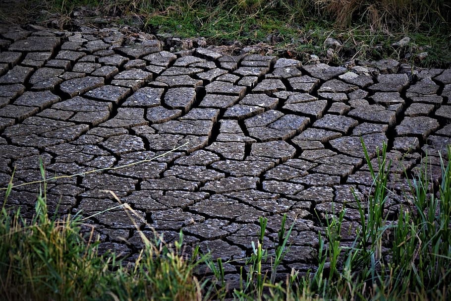 dry, drought, nature, landscape, sand, close up, earth, cracked, dehydrated, destruction