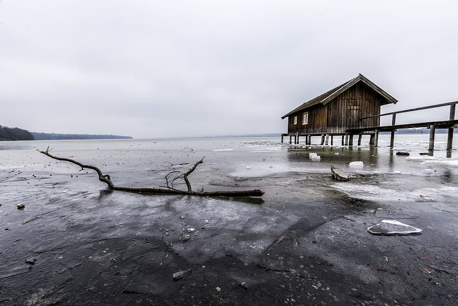 brown tree branch, ammersee, boat house, frozen, water, lake, web, bavaria, landscape, mirroring