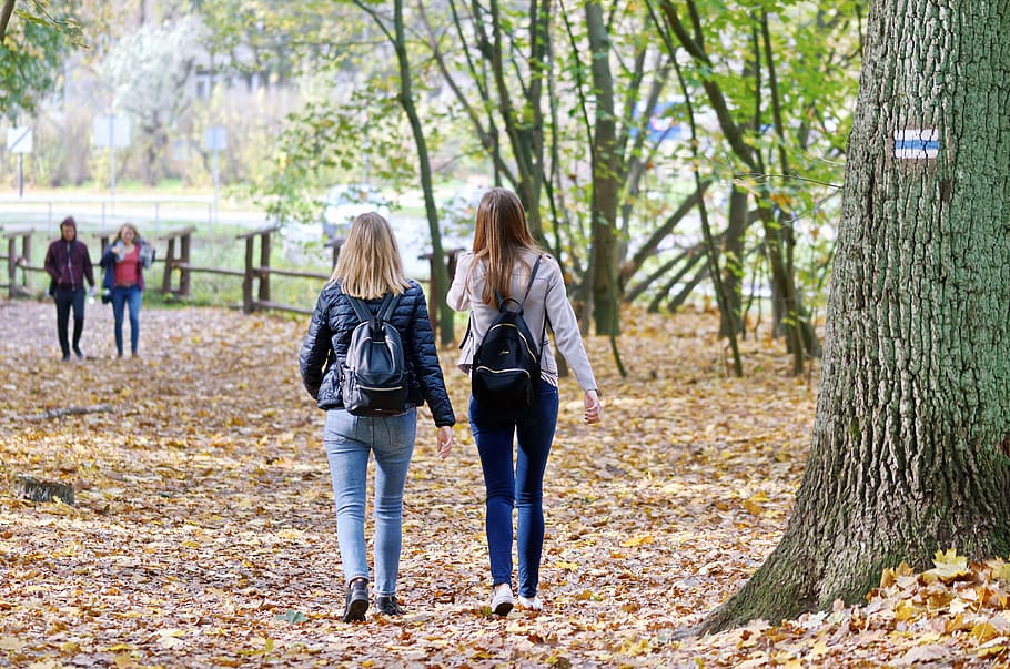 girls, women, young, people, going, backpacks, forest, trees, autumn, leaves