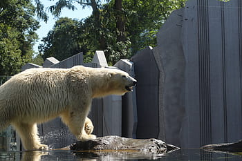 vienna zoo entrance clipart