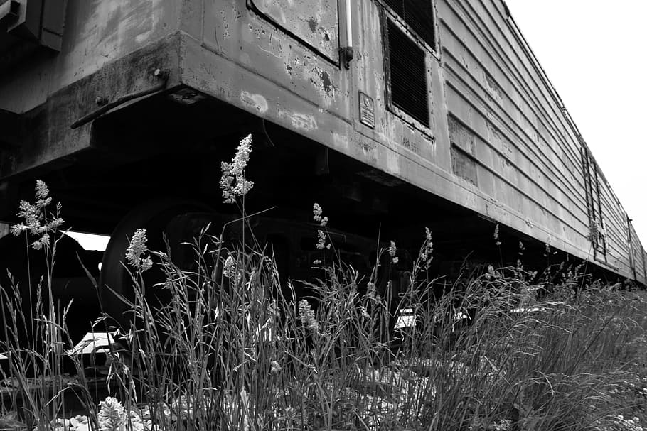 railway, sky, railway carriage, black and white, grass, melancholia, architecture, built structure, building exterior, building