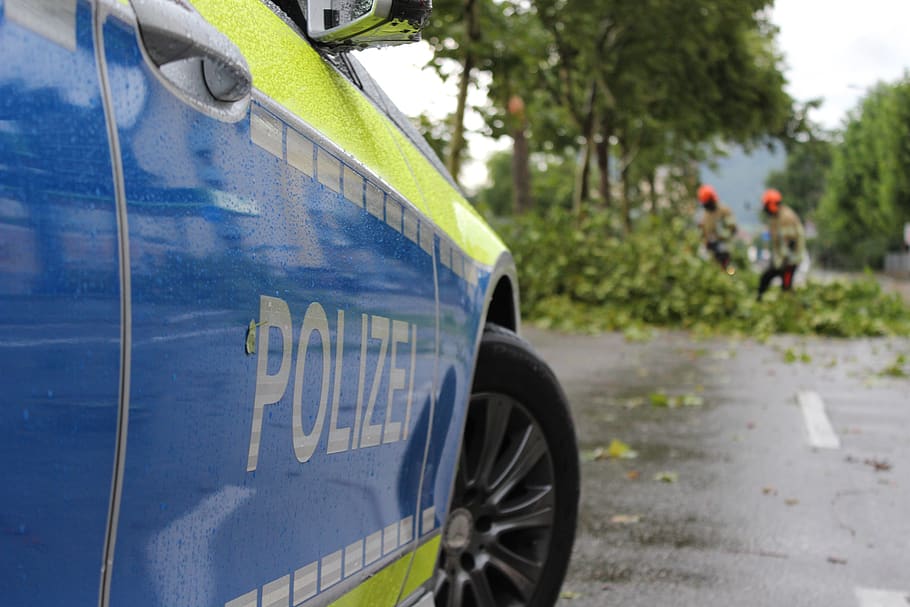 police, freiburg, forward, fire, tree damage, overturned, tree, road, road block his, blocking
