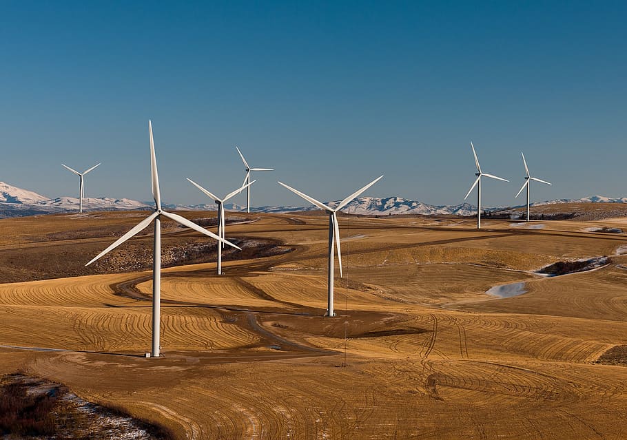 branco, fazenda de turbinas eólicas, campo, parque eólico, moinhos de vento, turbinas, energia, vento, verde, idaho