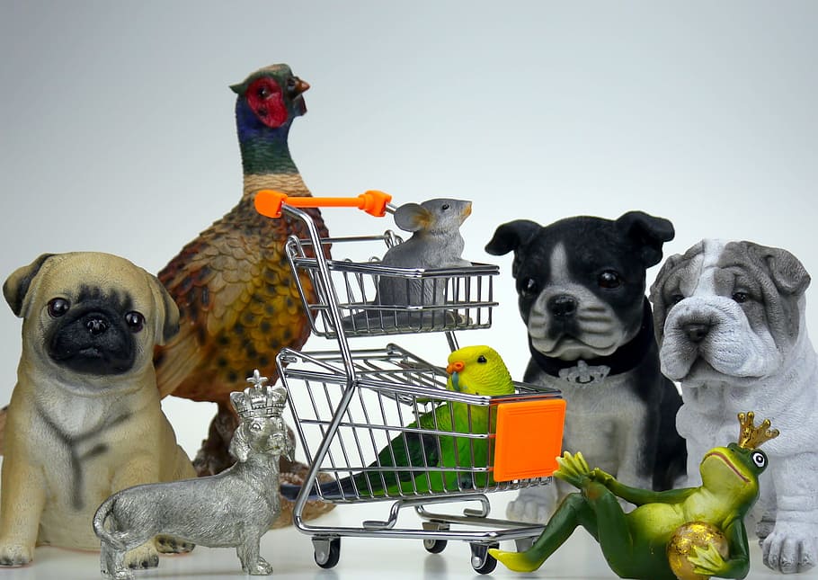 ショッピング, ショップ, ペットフード, 犬, カエル, 動物, ペット, 家畜, 動物のテーマ, 哺乳類