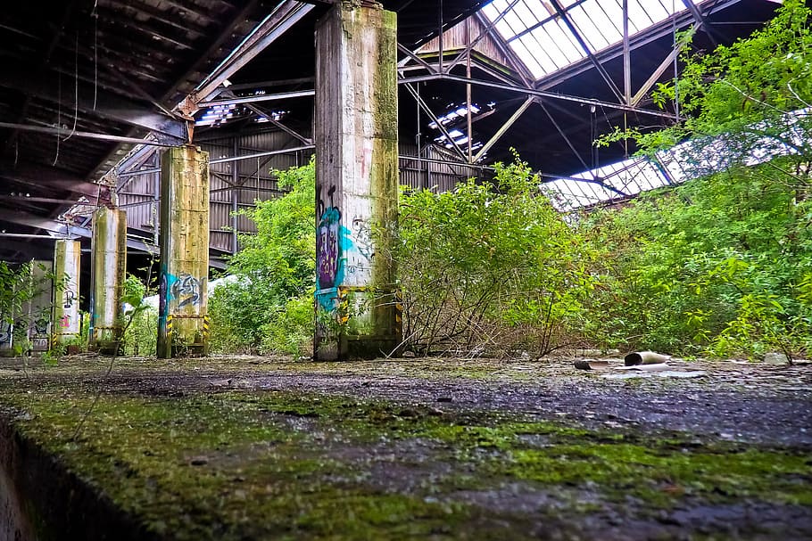 lost places, old, decay, ruin, railway depot, train, train hall, goods station, railway station, warehouse