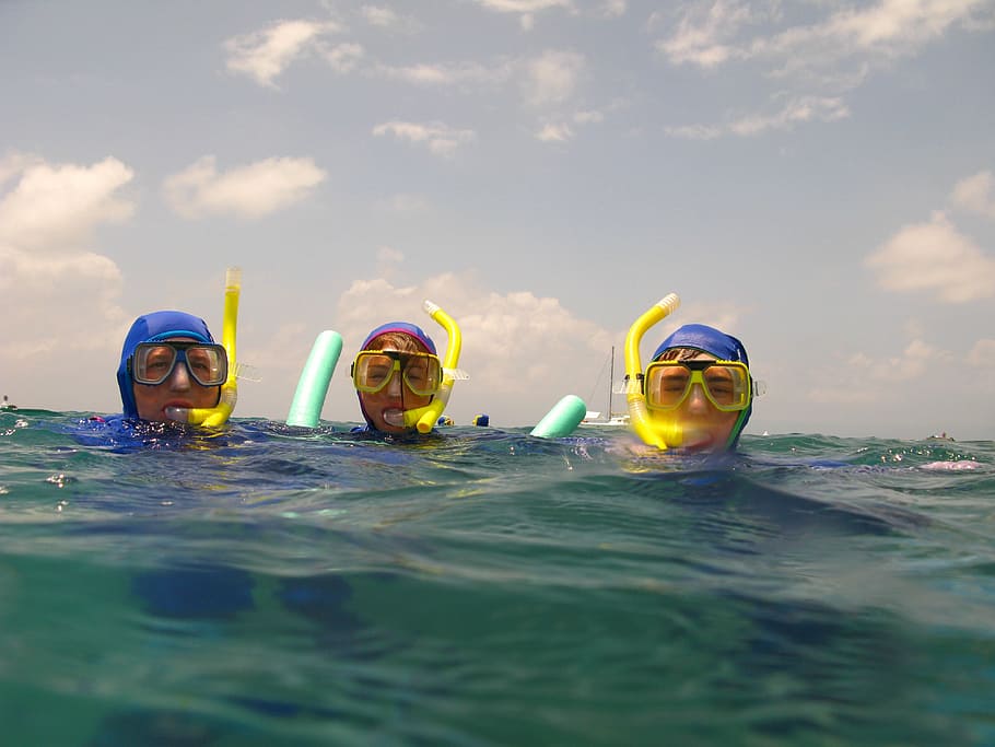 tres, personas, vistiendo, equipo de buceo, agua, natación, snorkel, verano, mar, snorkeling