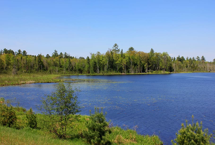 lado, Esquerda, Wood Lake, Governador Thompson State Park, Wisconsin, lago, paisagem, água, natureza, árvore