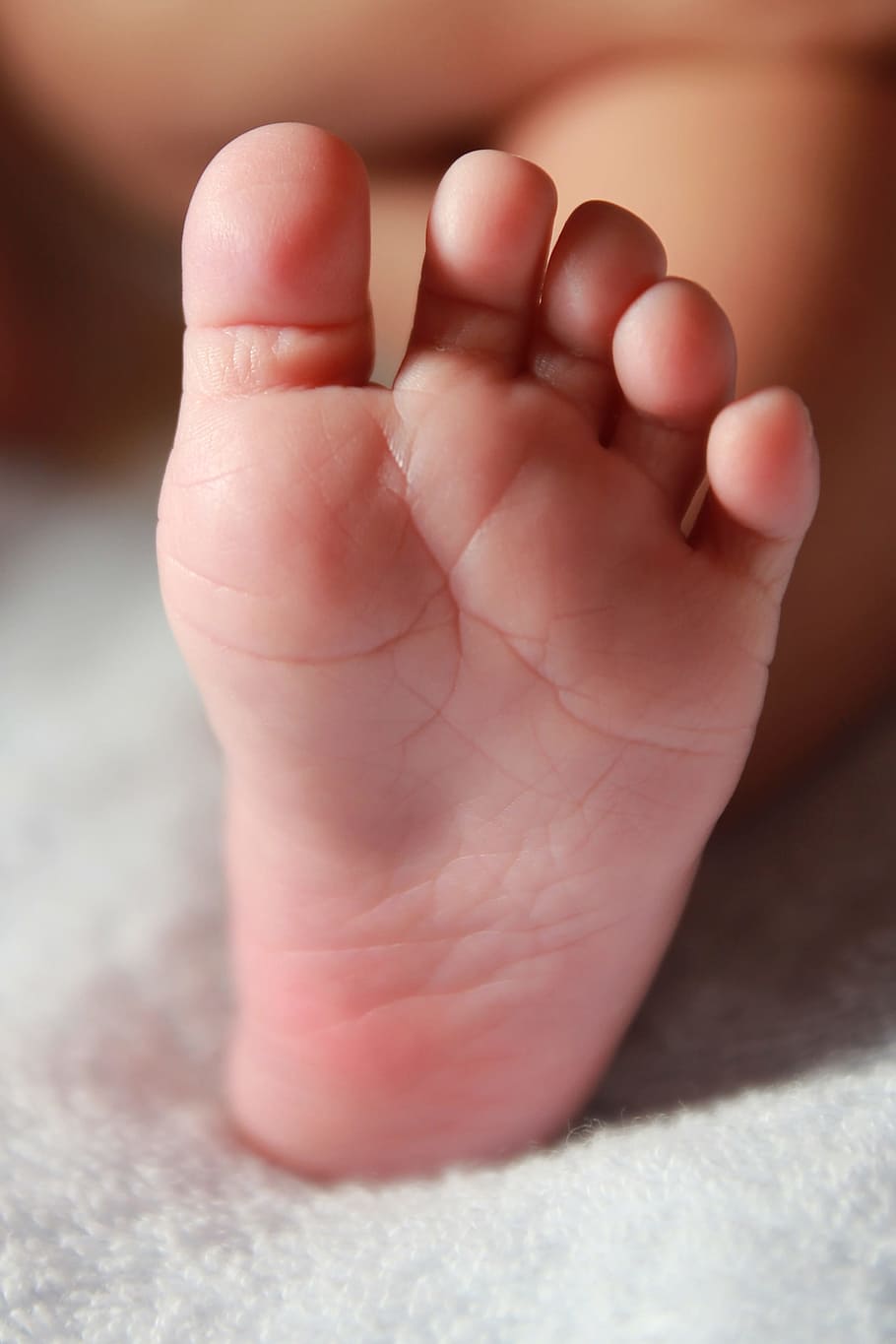 left person's foot, Newborn, Infant, Leg, baby foot, newborn, infant, baby, child, small, childhood