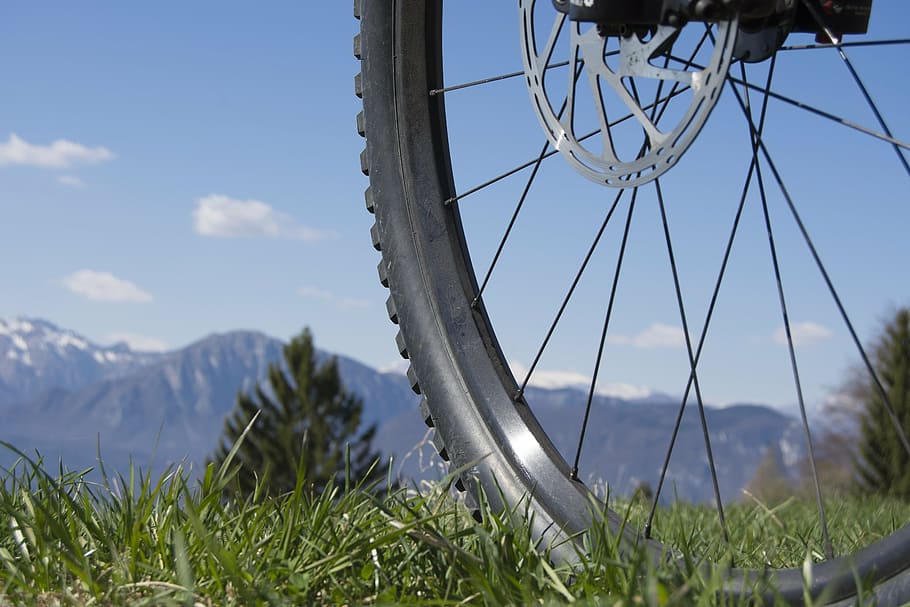 bike near trees, wheel, spokes, close, rim, mature, mountain bike, pneu, mountains, mountain