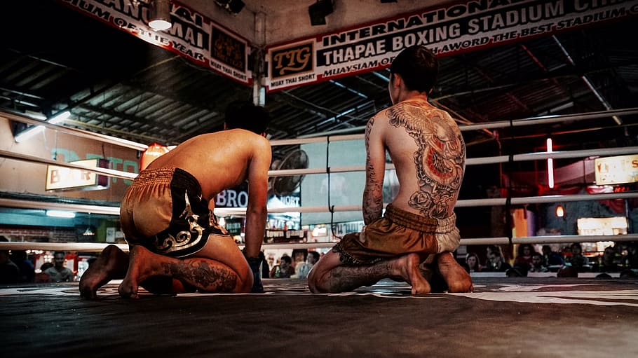 dos, persona, vistiendo, pantalones cortos de muay thai, arrodillado, anillo, boxeo, hombres, personas, tatuajes