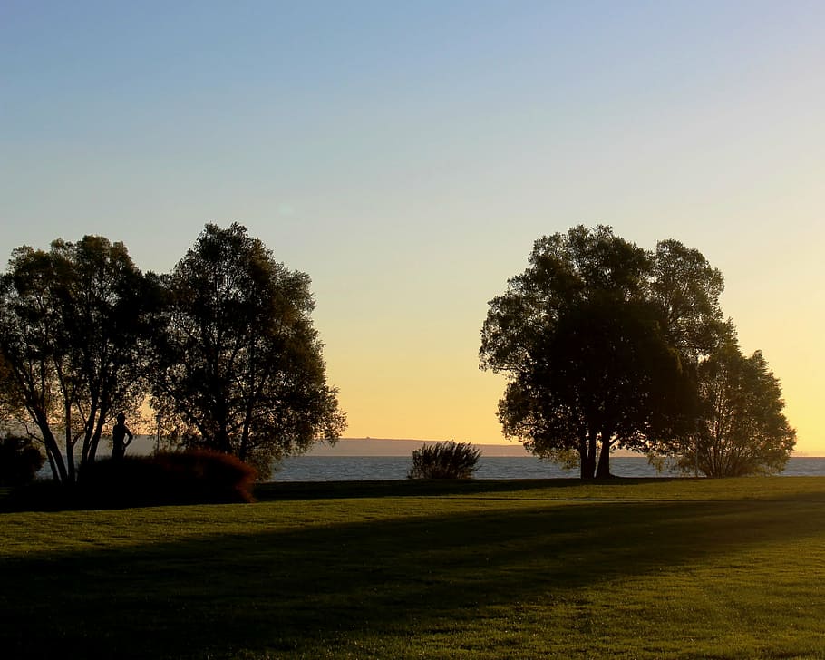 autumn, morning, mood, sunrise, trees, lake, lake constance, park, seeburg park, kreuzlingen