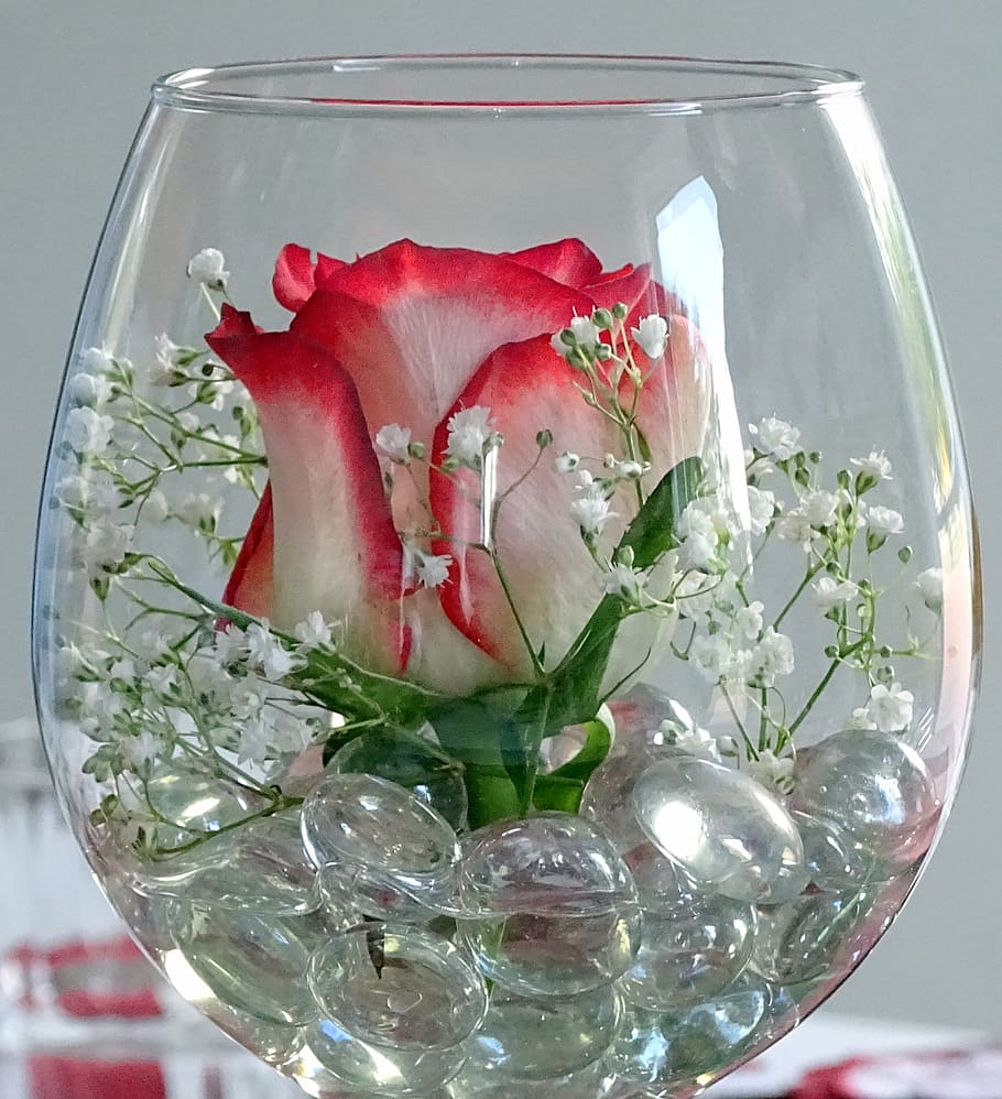 deco, rose, glass, wine glass, red rose, decorative, love, flower, red, decoration