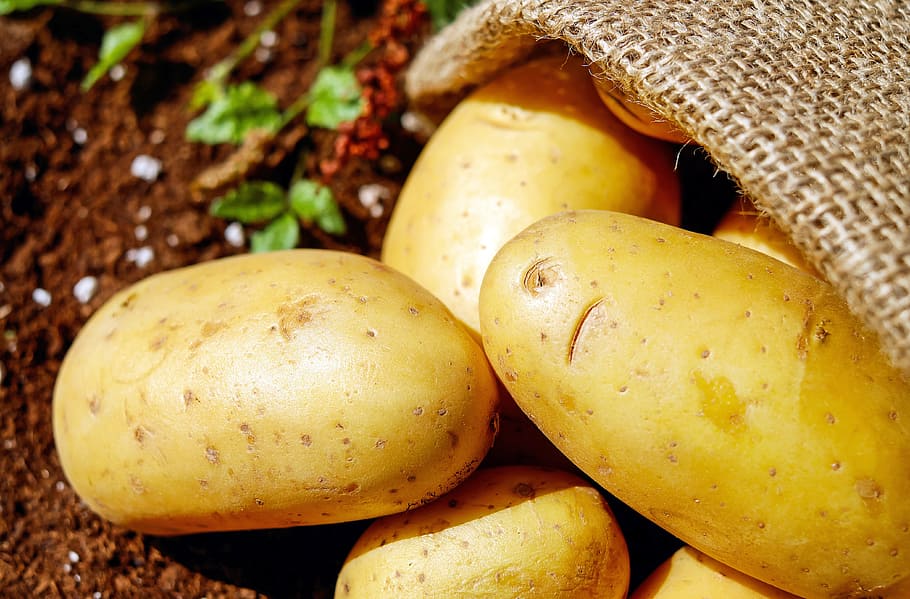brown potato lot, potatoes, vegetables, erdfrucht, bio, harvest, potato sack, food and drink, food, healthy eating