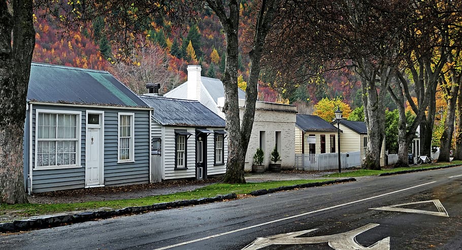 Historic, Arrowtown, Otago, NZ, wooden, houses, surrounded, tall, trees, daytime