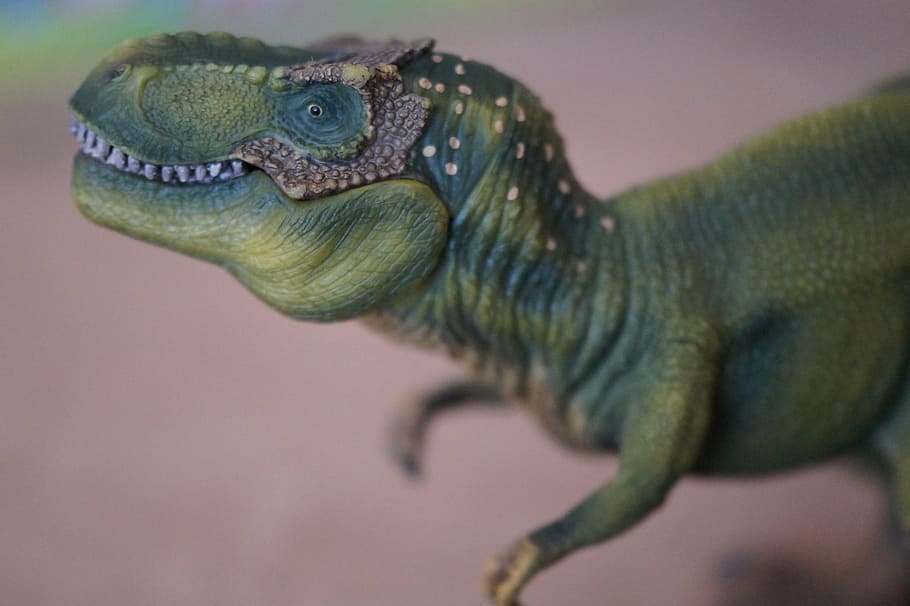 green dinosaur toy, dino, dinosaur, tyrannosaurus rex, replica, toys, children, prehistoric times, t rex, dangerous