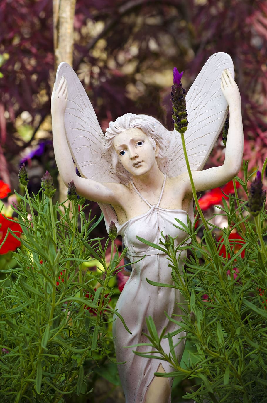angel, ornament, fairy, woman, decorative, ornamental, garden, plant, day, sculpture