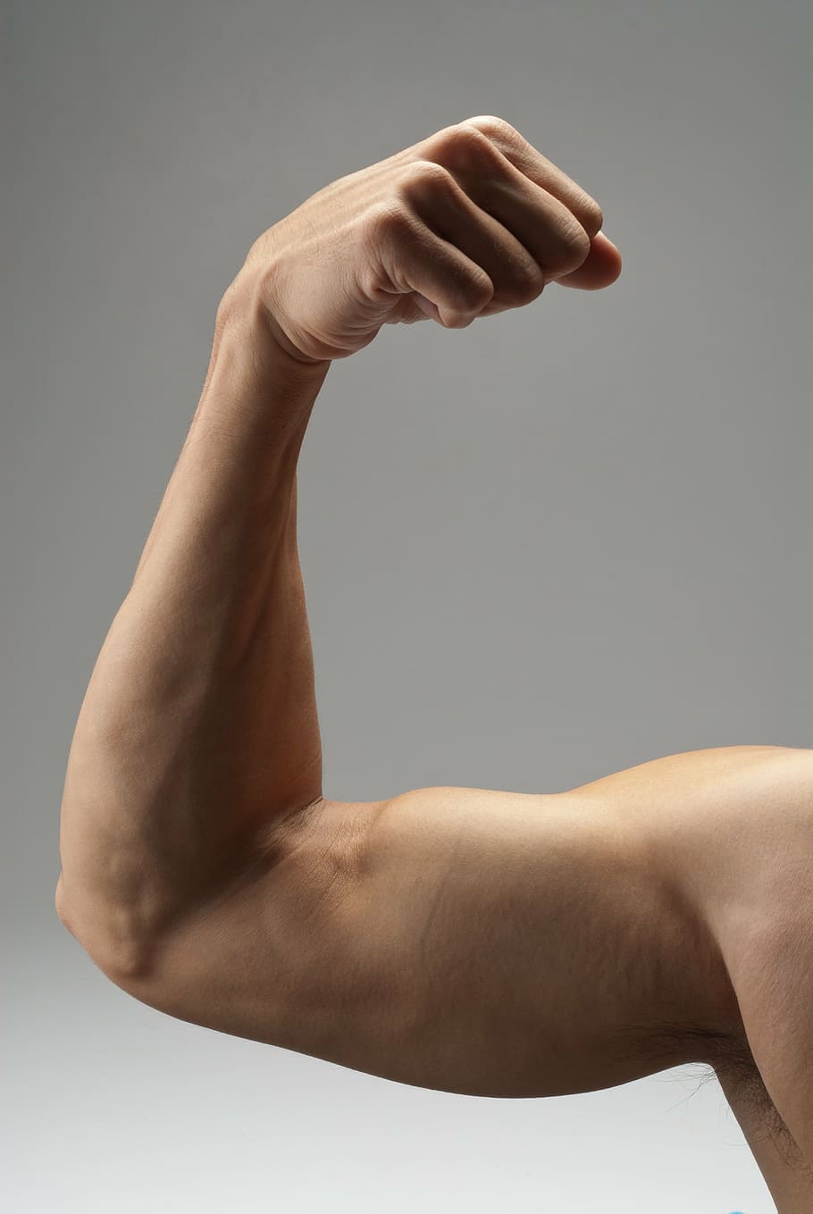 homem flexionando os músculos, braço, músculo, forte, bíceps, exercício, aptidão, musculação, adulto, masculino