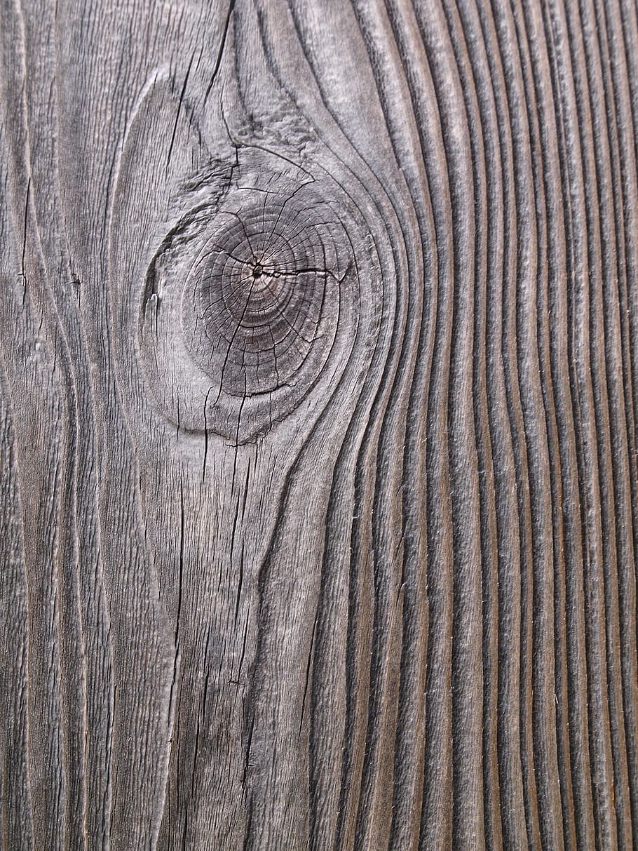kayu, gandum, cincin tahunan, pohon, mencatat, struktur, suku, pola, retak, kering