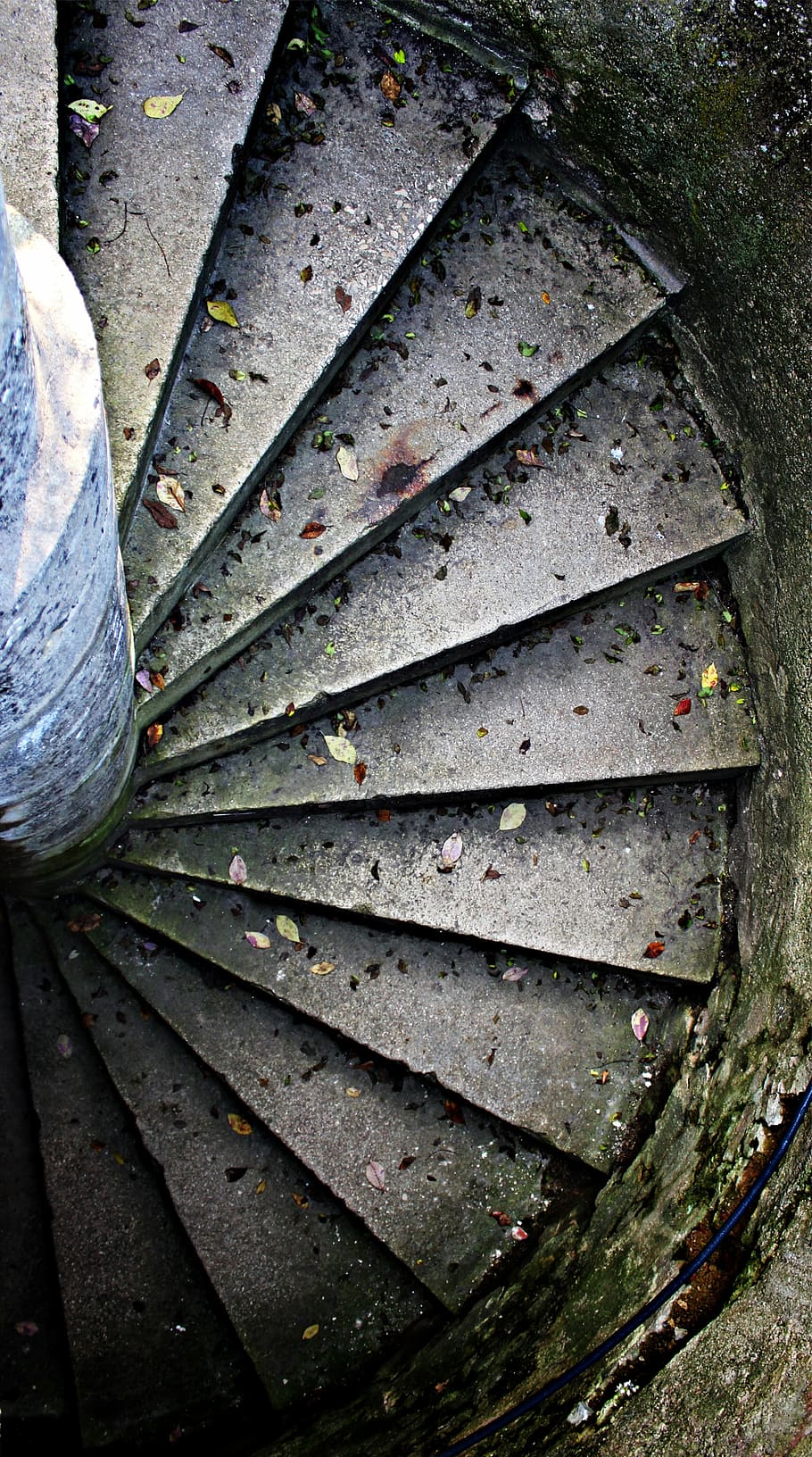 spiral stair, spiral staircase, staircase finish, spiral, gradually, descent, autumn, stair step, get off, plant part