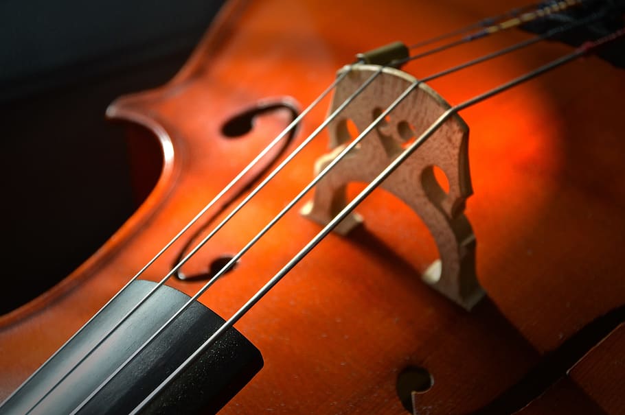 selectivo, fotografía de enfoque, cuerdas de violín, violonchelo, cuerdas, instrumento de cuerda, madera, instrumento, música clásica, instrumento musical