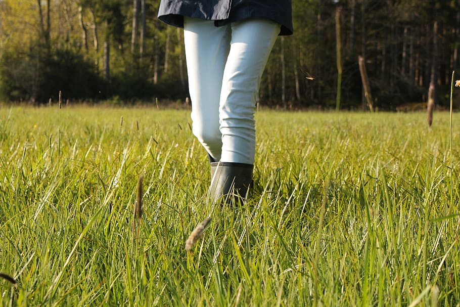 meadow, spring, rubber boots, jeans, grass, nature, walk to go, plant, land, low section