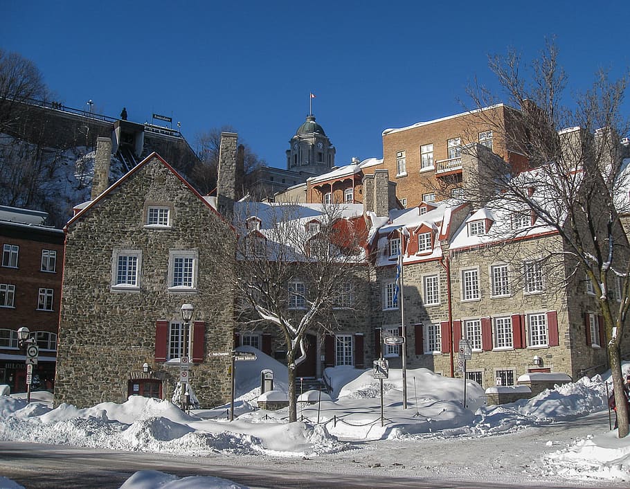 カナダ, ケベック州, 旧市街, 冬, 雪, 建築, 建物の外観, 構築された構造, 建物, 低温