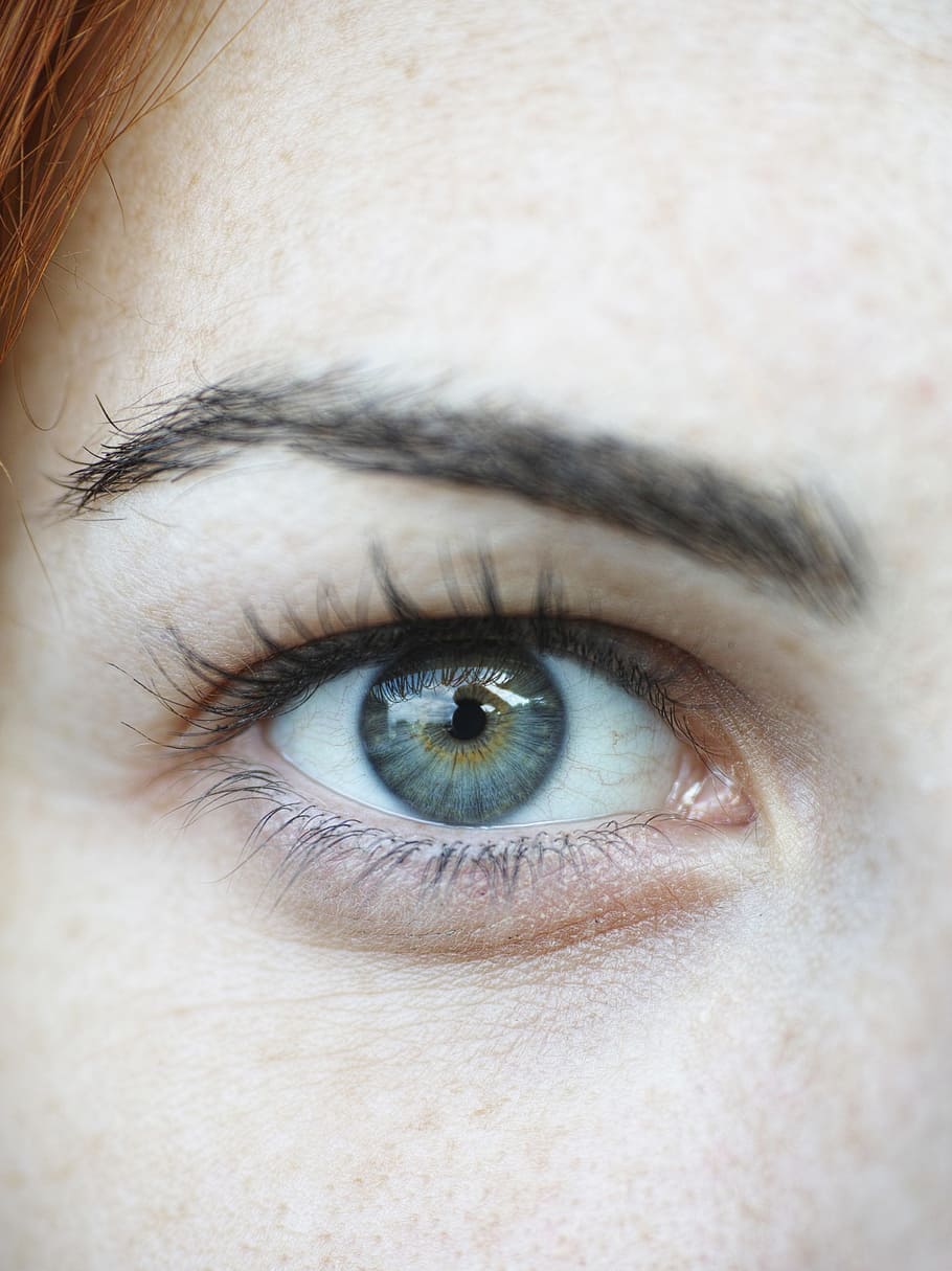 close-up photo, right, human, eye, close-up, blue, browse, eyelash, women's, look