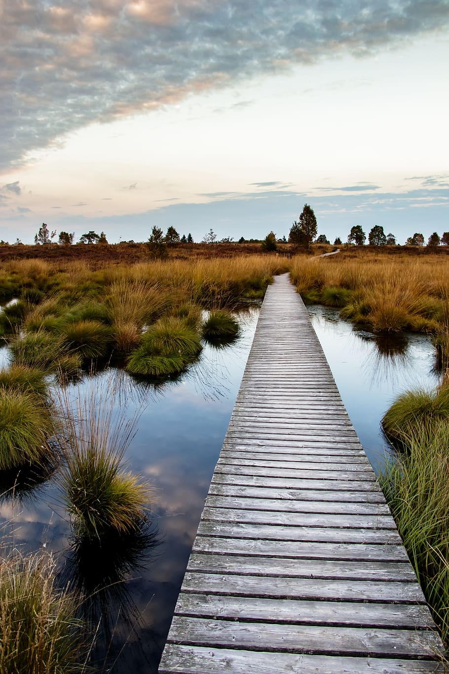 wide, angle photo, brown, dock, cloudy, sky, moor, swamp, landscape, nature