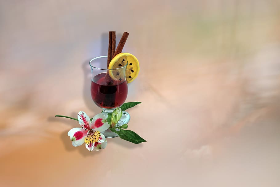 background, flower, still life, lemon, mulled wine, glass, wine, clearance, composition, plant