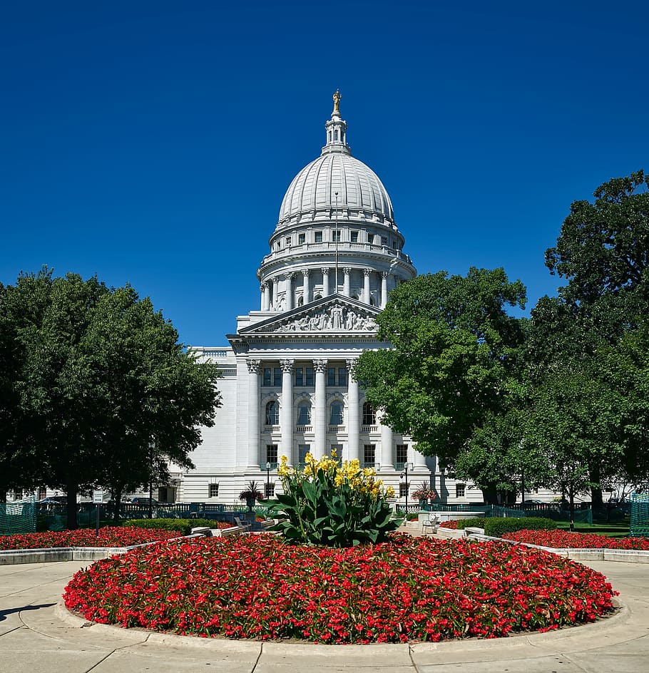 the capitol, Madison, Wisconsin, Wisconsin, State Capitol, Capitol, Dome, madison, wisconsin, state capitol, dome, architecture, flowers