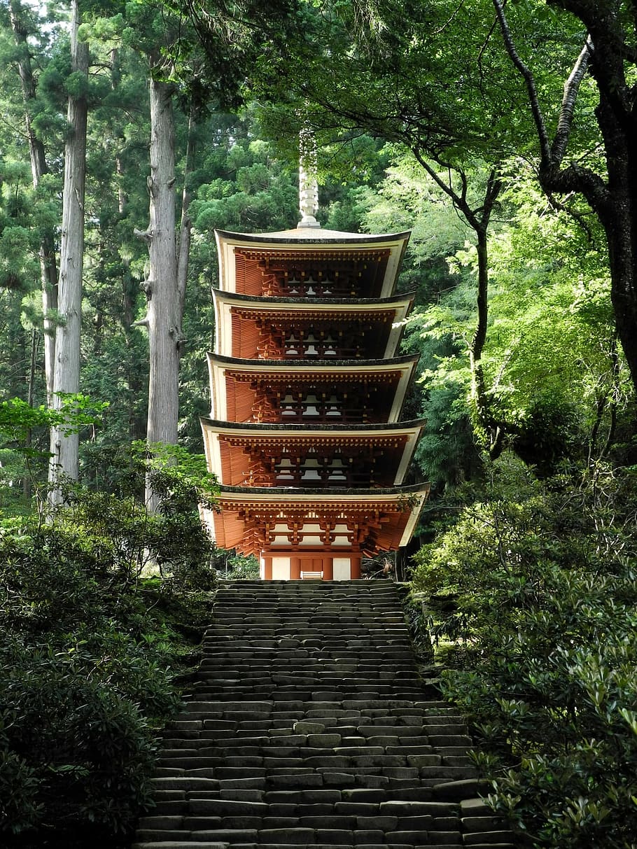 stairs, behind, brown, white, padoga temple, surrounded, green, leaf, tall, tress