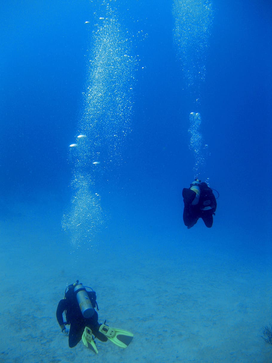 dua, orang scuba, menyelam, bawah air, penyelam, gelembung, scuba, laut, karang, tropis