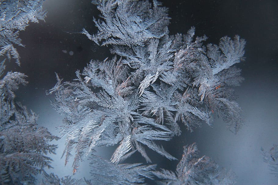 kristal, embun beku, salju, es, musim dingin, dingin, suhu dingin, beku, alam, tidak ada orang