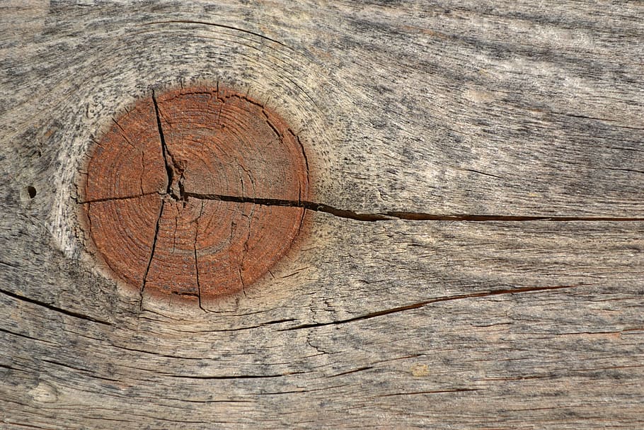 cracks, wood, dry, wood - material, textured, cracked, close-up, brown, full frame, day