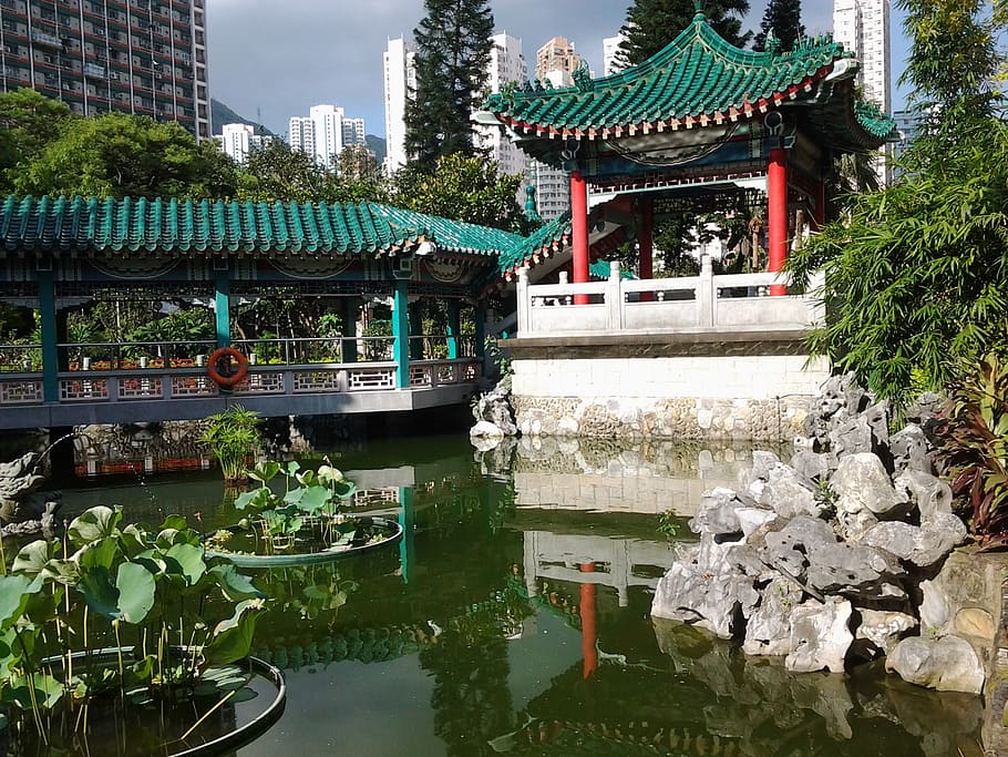 templo, pagode, jardim, arquitetura, bacia, oração, sabedoria, telhado, lótus, hong kong