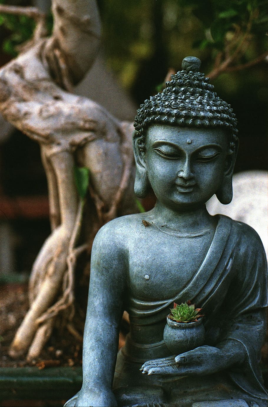 gray, buddha figurine, holding, green, plant, pot photo, buddha, meditation, statue, religion