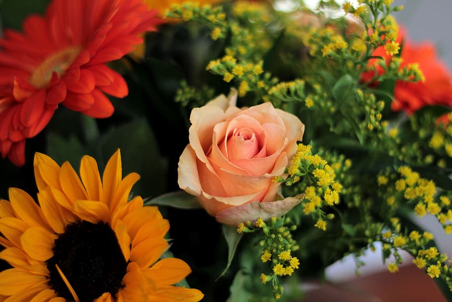 rose, bouquet, flowers, color, gerbera, sunflower, orange, yellow, decorative, romantic