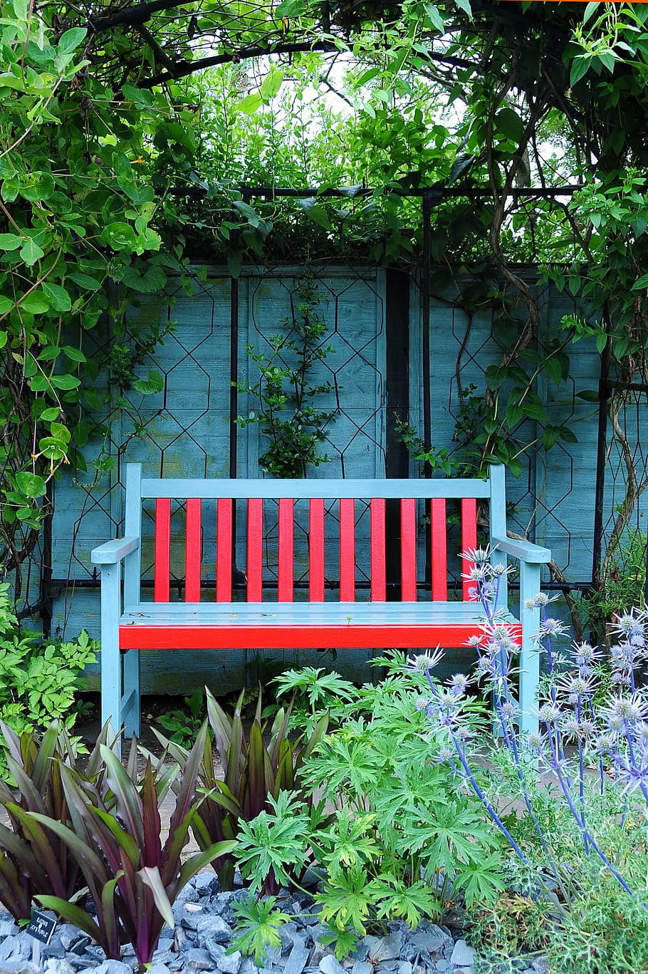 white, red, wooden, windsor bench, shade, tree, gray, pink, wooden bench, garden